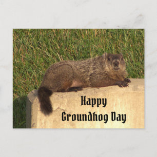 Groundhog Day Postcard