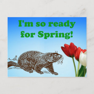 Groundhog Day So Ready for Spring Holiday Postcard