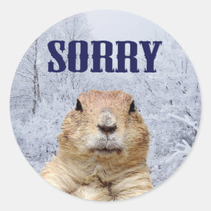 Groundhog Day Sorry Classic Round Sticker