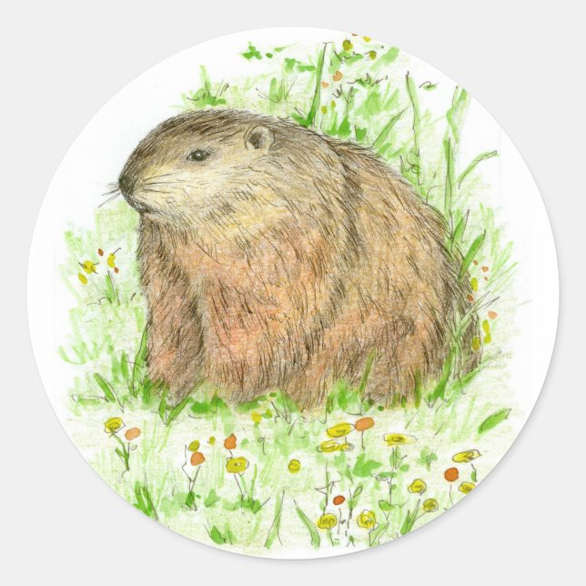 Groundhog Day Woodchuck Rodent Animal Classic Round Sticker (Front)