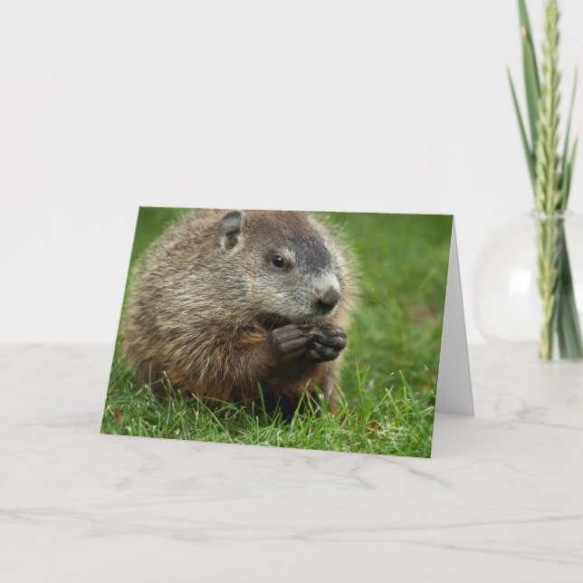 Groundhog Day Woody Card (Front)