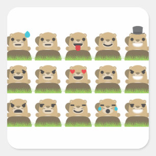 groundhog emojis square sticker