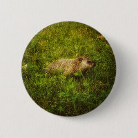 Groundhog in a field button