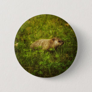 Groundhog in a field button