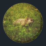 Groundhog in a field magnet<br><div class="desc">Nothing says Groundhog Day more than this "Groundhog in a field" magnet.</div>