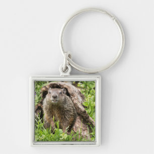 Groundhog in a Hollow Log Keychain