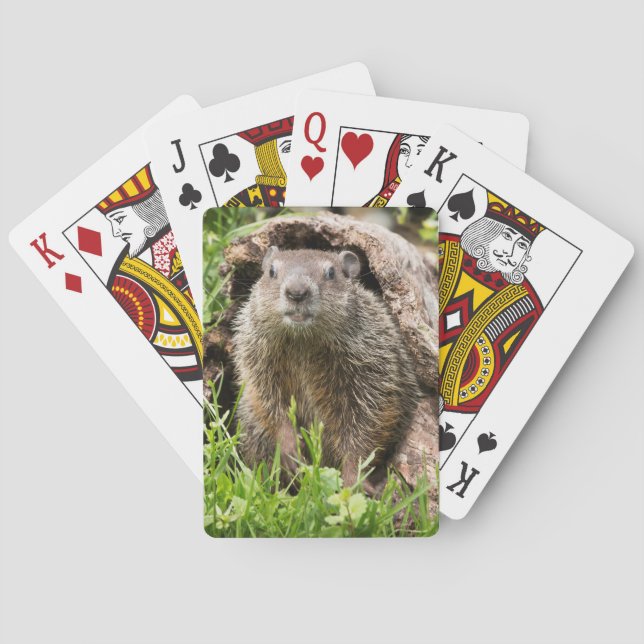 Groundhog in a Hollow Log Playing Cards (Back)