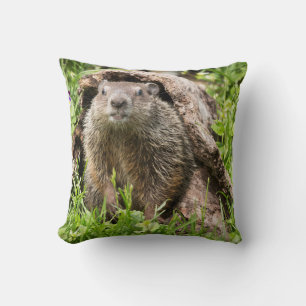 Groundhog in a Hollow Log Throw Pillow