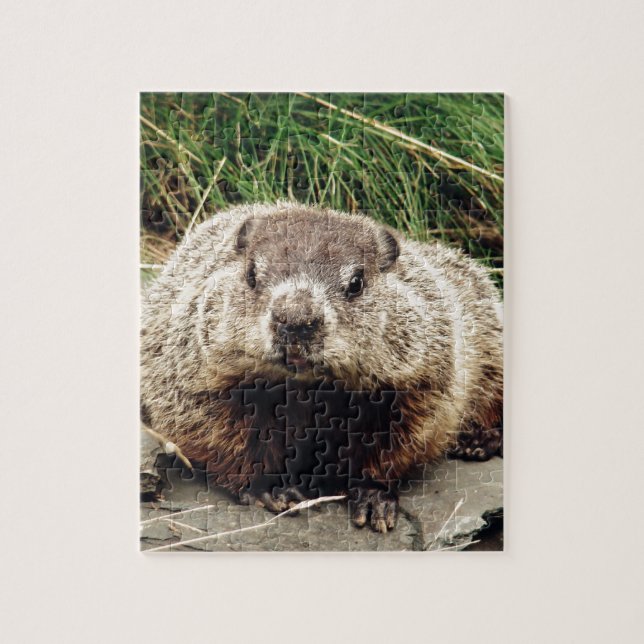 Groundhog Jigsaw Puzzle (Vertical)