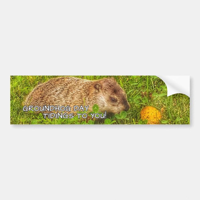 Groundhog Jour vous annonce! autocollant pare-choc (Devant)