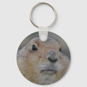 groundhog keychain