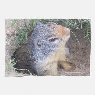 Groundhog Kitchen Towel