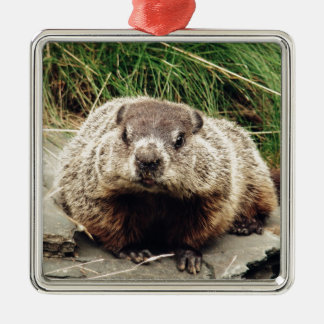 Groundhog Metal Ornament