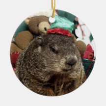 Groundhog Moses Christmas Ornament
