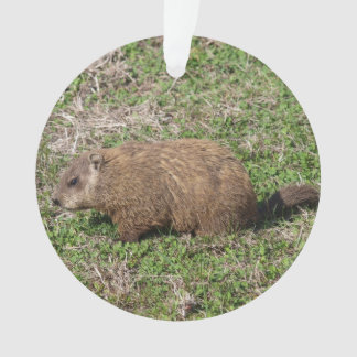 Groundhog Ornament