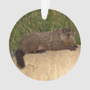 Groundhog Ornament