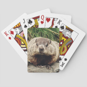 Groundhog Playing Cards