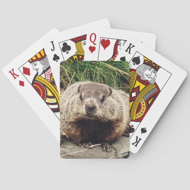 Groundhog Playing Cards (Back)
