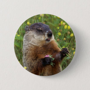 Groundhog Pose Button - Closer