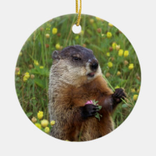 Groundhog Pose Ceramic Ornament