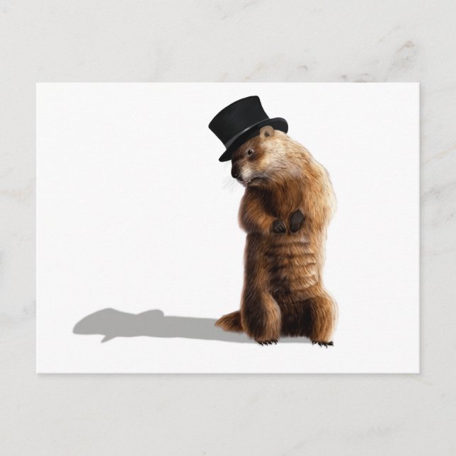 Groundhog Seeing Shadow Postcard (Front)