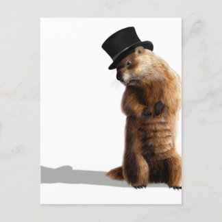 Groundhog Seeing Shadow Postcard