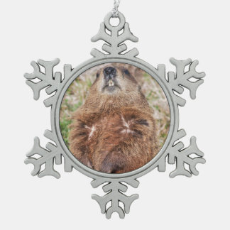 Groundhog Snowflake Pewter Christmas Ornament