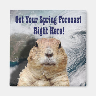 Groundhog Spring Forecast Magnet