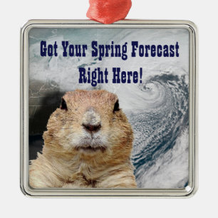 Groundhog Spring Forecast Metal Ornament