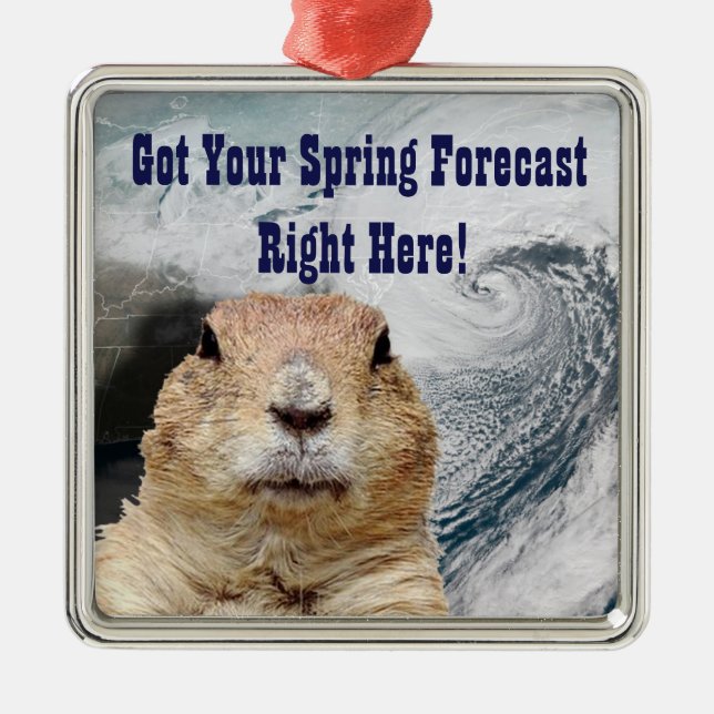 Groundhog Spring Forecast Metal Ornament (Front)