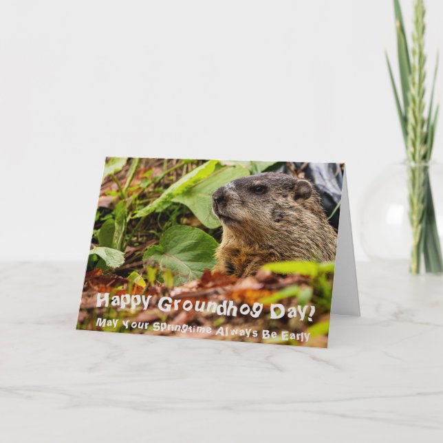 Groundhog Springtime  Card (Front)