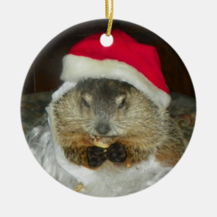 Groundhog/Woodchuck Clara Ornament