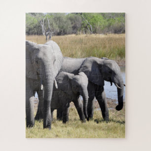 Group of African Elephants in Front of Water Hole Jigsaw Puzzle