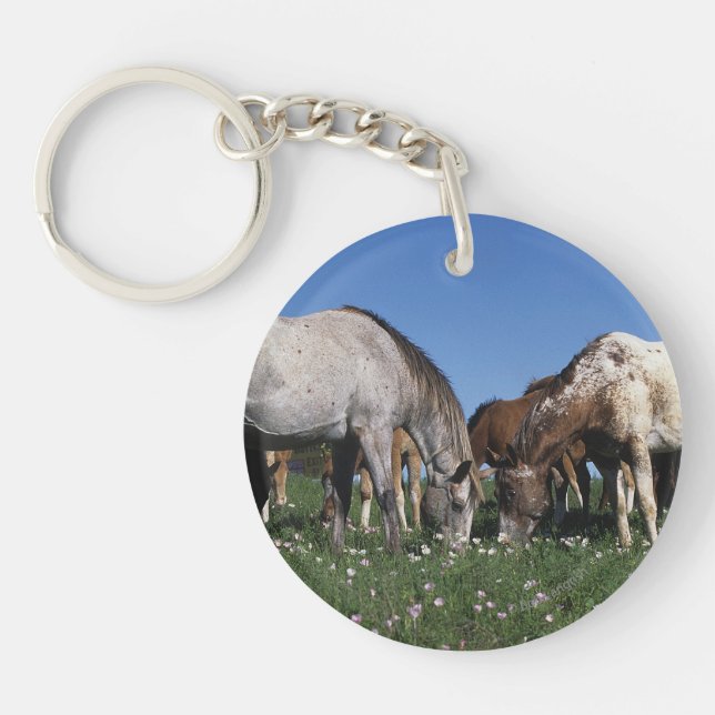 Group of Appaloosa Horses Grazing Keychain (Front)