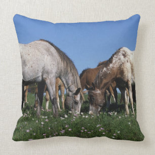 Group of Appaloosa Horses Grazing Throw Pillow