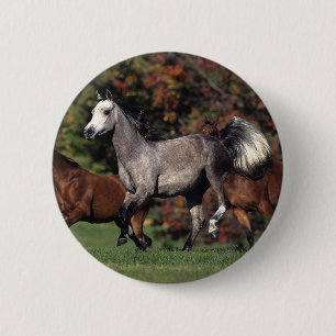 Group of Arab Horses Running 2 Inch Round Button