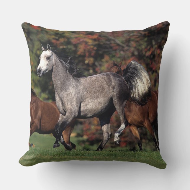 Group of Arab Horses Running Throw Pillow (Front)