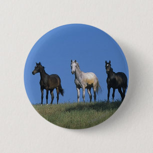 Group of Arabs 2 Inch Round Button