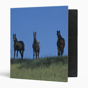 Group of Arabs Binder