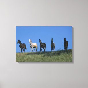 Group of Arabs Canvas Print