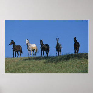 Group of Arabs Poster