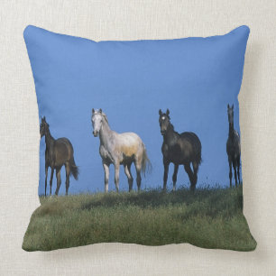 Group of Arabs Throw Pillow