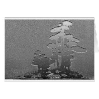 Group of Bonsai Pine Trees in Metallic Silver