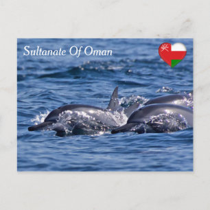 Group of bottlenose dolphins - Oman Postcard