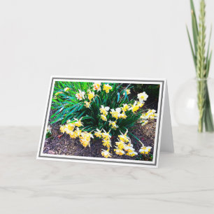 Group of Bright Yellow Daffodils With Green Leaves Card