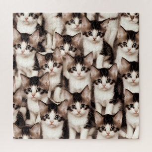 Group of cute kittens jigsaw puzzle