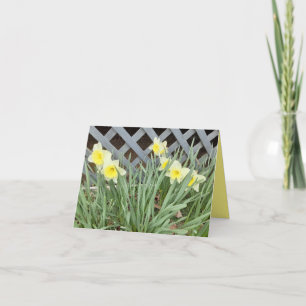 Group of Daffodils Card