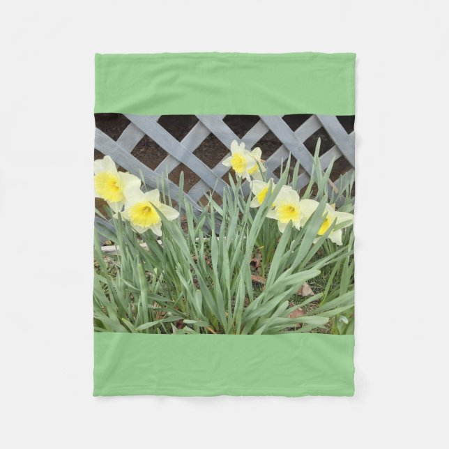 Group of Daffodils Fleece Blanket (Front)