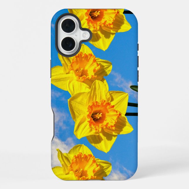 Group of Daffodils Gold Medal flowers Phone Case (Back)