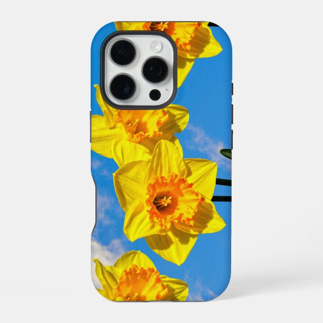 Group of Daffodils Gold Medal flowers Phone Case (Back)
